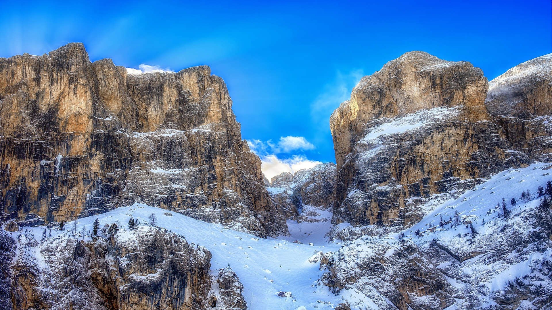 开云体育链接-“荒野之战：沙丘与泥泞中的血战”，荒野之战电影